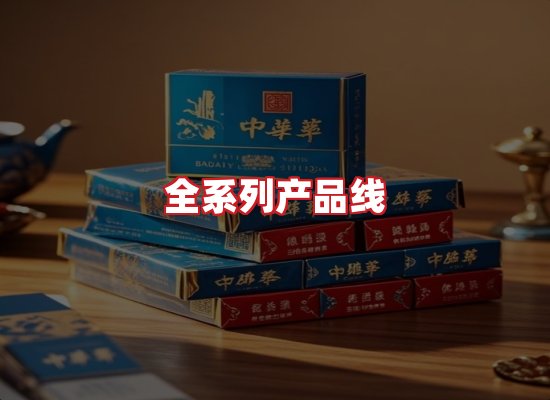 专业团队